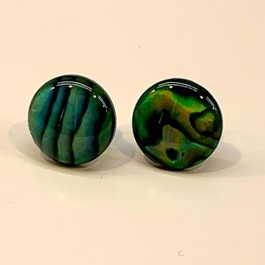 Paua Abalone Shell Earrings